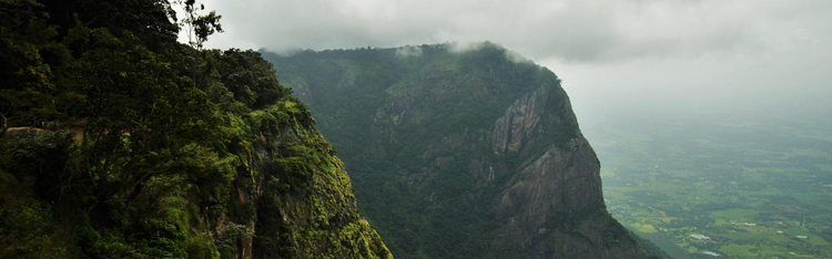 mist-covered hills