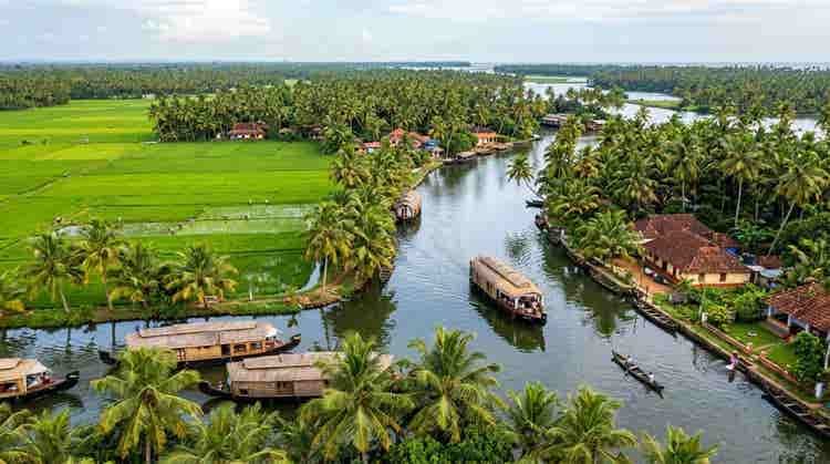 Backwaters, paddy fields, coconut lagoons, and villages