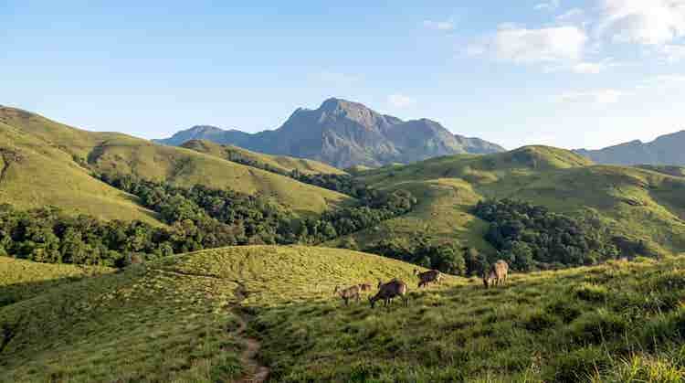 eravikulam